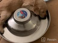 img 1 attached to Indipets Heavy Duty Stainless Steel Puppy Saucer With Raised Center - 15" Diameter - Feed Multiple Puppies At Once review by Janet Harris