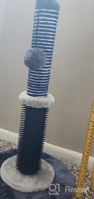 img 1 attached to Jaoul 21" Cat Scratching Post With Double Base Plate And Self Groomer For Indoor Cats review by Mike Pfettscher