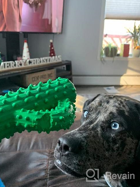 img 1 attached to Durable And Squeaky Christmas Dog Toys For Aggressive Chewers - Made With Non-Toxic Natural Rubber (Blue) review by Eric Trask