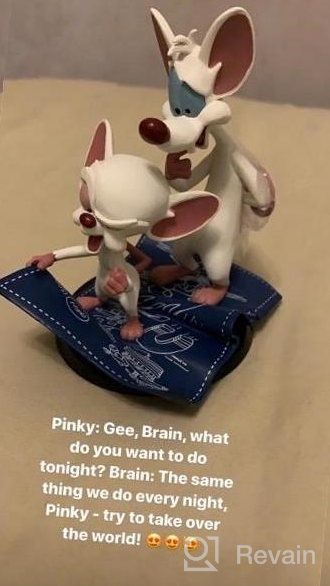 img 1 attached to Get Your Hands On The Adorable Pinky & The Brain Q-Fig Figure By QMx WBA-0101 In Multi-Color And 5 Inches! review by Micael Rau
