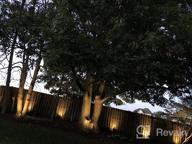 img 1 attached to Illuminate Your Outdoor Space With SUNVIE'S 12 Pack Low Voltage Landscape Lights - Waterproof, Shielded, And Energy-Efficient LED Well Lights For Pathways, Gardens, Fences, And Decks review by Justin Puranik