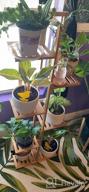 картинка 1 прикреплена к отзыву 🌿 Бамбуковая стойка для растений на 5 уровней с горшками - полка с держателями для нескольких цветочных горшков - стеллаж для выставки комнатных и садовых растений на патио, в саду, на углу, на балконе, в гостиной. от Jason Nguyen