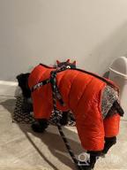 img 1 attached to Didog Winter Small Dog Coats: Waterproof, Warm & Harness Compatible For Puppy & Cat Walking Hiking - Red (Chest 13") review by Derek Pape