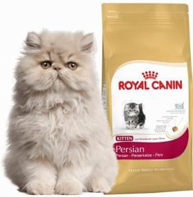 img 3 attached to Dry food for kittens Royal Canin Kitten Persian for Persian kittens from 4 to 12 months 10 kg