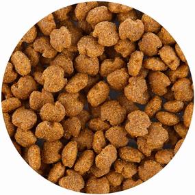 img 2 attached to Dry dog ​​food Eukanuba for healthy skin and coat, for oral care, chicken 1 pack. x 2 pcs. x 800 g