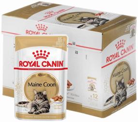 img 4 attached to Wet food sauce for adult cats Royal Canin Maine Coon Adult for Maine Coon cats aged 1 to 12 years, 24 x 0.085kg