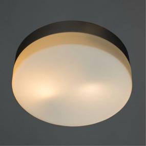 img 4 attached to Ceiling lamp Arte Lamp Aqua A3211PL-2SI, E27, 120 W, number of lamps: 2 pcs., color: white