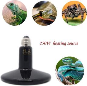 img 1 attached to 🔥 2RZ 110V 250W Pet Ceramic Heat Lamp Bulb: Reptile Heat Emitter for Pet Brooder Coop, Turtle & Snake Aquarium