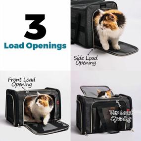 img 1 attached to Airline-Approved CaiDieNu Pet Carrier - Soft-Sided Foldable For Cats & Dogs Up To 22 Lbs