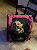 картинка 1 прикреплена к отзыву KOPEKS Deluxe Backpack Pet Travel Carrier With Double Wheels - Approved By Most Airlines For Airline Travel от Emmanuel Pictorial