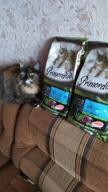 img 1 attached to Dry food for cats Primordial grain-free, with salmon, with tuna 2 kg review by Erzsbet Juhsz ᠌