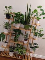 img 1 attached to Indoor Outdoor Flower Pot Rack: 9-Tier Bamboo Shelf Display Holder For 17 Potted Plants, Perfect For Patio, Garden, Balcony, Or Living Room Décor review by Nick Walsh