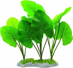img 1 attached to Fluval Chinodorus Plant Aquarium 11 5 дюймов