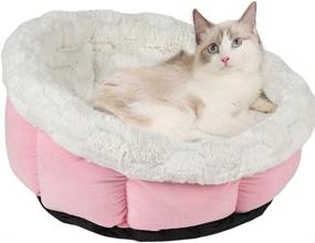 img 4 attached to 🐾 BVAGSS Luxury Cat Bed: Cozy and Soft Dog Basket for Small to Medium Dogs - Machine Washable, Non-Slip Bottom - MW001