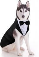 bandana wedding halloween birthday costumes dogs логотип