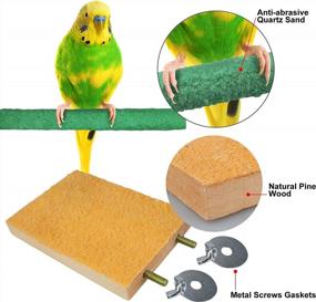 img 1 attached to Natural Wood Bird Perch Stand Platform With Nail Trimmer And Paw Grinding Stick For Parakeets, Cockatiels, Lovebirds - GAGILAND Cage Accessories (Random Color)