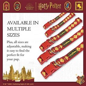 img 1 attached to Harry Potter Gryffindor Accessories Hogwarts Dogs best on Training & Behavior Aids