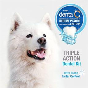 img 1 attached to 🐶 Nylabone Advanced Oral Care Triple Action Dog Dental Kit for Adult Dogs - Original 2 Count: An Effective Solution for Maintaining Canine Oral Health