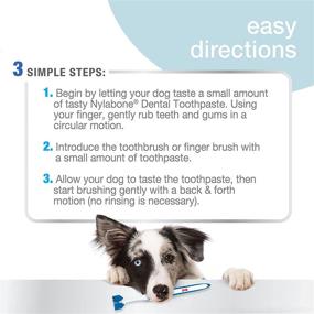img 2 attached to 🐶 Nylabone Advanced Oral Care Triple Action Dog Dental Kit for Adult Dogs - Original 2 Count: An Effective Solution for Maintaining Canine Oral Health