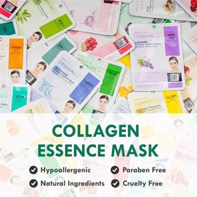 img 3 attached to 16-Pack Korean Face Mask Collection: The Ultimate Supreme For Every Skin Condition | DERMAL KOREA Collagen Essence Full Face Facial Masks