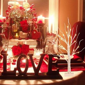 img 2 attached to PEIDUO Valentine Tree Valentines Day Decor, пасхальное дерево с таймером на батарейках, освещенная береза ​​со светодиодной подсветкой, искусственная елочная лампа для рождественского домашнего декора (2FT теплый белый)