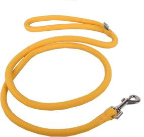 img 2 attached to 🐕 Gold Rope Dog Leash for Training, Hiking, and Walking - Colofast - 3/4&#34; Diam x 4 ft Long - by Yellow Dog Design