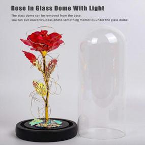 img 1 attached to Colorful Artificial Rose Flower Gift With LED Light String And Glass Dome - Perfect Forever Gift For Women, Weddings, Valentine'S Day, Anniversaries, And Birthdays In Red