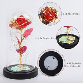 img 2 attached to Colorful Artificial Rose Flower Gift With LED Light String And Glass Dome - Perfect Forever Gift For Women, Weddings, Valentine'S Day, Anniversaries, And Birthdays In Red