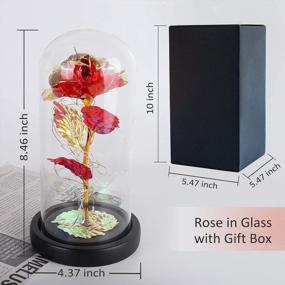 img 3 attached to Colorful Artificial Rose Flower Gift With LED Light String And Glass Dome - Perfect Forever Gift For Women, Weddings, Valentine'S Day, Anniversaries, And Birthdays In Red