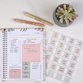img 2 attached to 📅 DiverseBee Gold Foil Planner Monthly Tabs, 24 Peel and Stick Laminated Tabs for Notebooks (12 Month Tabs and 4 Blank Tabs), Calendar Monthly Stickers, Planner Dividers (Jade)