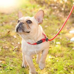 img 1 attached to 🐾 Red Slip Leash for Large, Medium & Small Dogs - Durable Anti Slip Dog Lead for No Pulling Pet Training