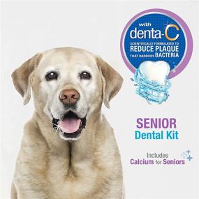 img 1 attached to Nylabone Advanced Oral Care Senior Dog Dental Kit with Bacon Flavor - 3 Count