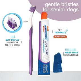 img 3 attached to Nylabone Advanced Oral Care Senior Dog Dental Kit with Bacon Flavor - 3 Count