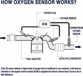 img 2 attached to HiSport Oxygen Sensor 250-24200 Замена — 4-проводной универсальный датчик кислорода с подогревом 1 упаковка