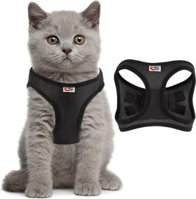 img 4 attached to 🐾 ABest-PET Cat and Dog Harness: Soft Mesh, Reflective, Adjustable Jacket with Easy Control for Small, Medium, Large Pets