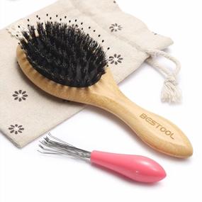 img 4 attached to Small Boar & Nylon Bristle Hair Brush For Women, Men And Kids - Detangle And Enhance Shine & Health - BESTOOL Travel Mini Hairbrush For Wet/Dry Hair
