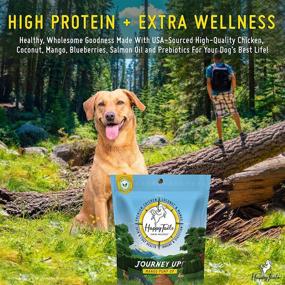 img 3 attached to 🐶 HappyTails Journey Up Dog Treats 6oz - Premium Protein with Fruits, Berries, Veggies - Prebiotics, Omega 3s & 6s - Made in USA with Natural Ingredients - Immune & Digestive Support and Skin & Coat Health