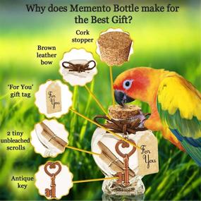 img 1 attached to Luffy Memento Jar: Keep Your Beloved Pet's Fur, Nail Clippings, and Ashes Safe – Ideal for Funerals, Souvenirs, and Gifts – Suitable for Rabbits, Parrots, Dogs, & Cats