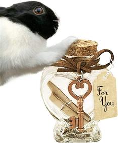 img 3 attached to Luffy Memento Jar: Keep Your Beloved Pet's Fur, Nail Clippings, and Ashes Safe – Ideal for Funerals, Souvenirs, and Gifts – Suitable for Rabbits, Parrots, Dogs, & Cats