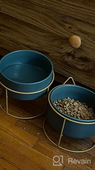 img 1 attached to ZONEYILA Raised Dog Cat Bowl, 15° Tilted Elevated Dog Bowls With Stand, Ceramic Basic Dog Bowls For Food And Water, Feeding For Puppy, Flat Faced Cats, Protect Cervical Spine, 32 OZ, Blue Bowl review by Kim Marin