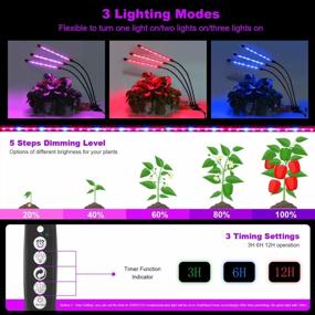 img 3 attached to KUKUPPO LED Grow Light: Red Blue Spectrum, Auto ON/Off Timer, 3 Switch Modes & 5 Dimmable Brightness For Indoor Plants