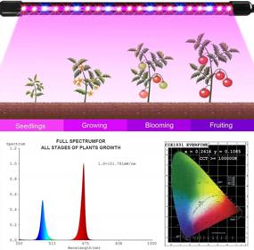 img 2 attached to KUKUPPO LED Grow Light: Red Blue Spectrum, Auto ON/Off Timer, 3 Switch Modes & 5 Dimmable Brightness For Indoor Plants