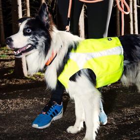 img 1 attached to 🧡 Hurtta Polar Visibility Dog Vest in Orange - Size Small