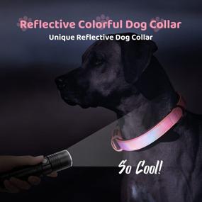 img 3 attached to 🐶 Feeko Reflective Dog Collar - Adjustable, Weatherproof, Ultra Soft Neoprene Padded, Durable Pet Collar for Small Medium Large Dogs