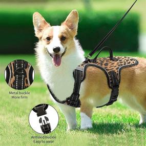 img 1 attached to 🐾 STAYTOP Escape-Proof Cat Harness and Leash Set | Safe Cat Vest Harness with Reflective Adjustable Soft Mesh | Breathable & Easy Control for Small, Medium, Large Cats | Fashionable Colorful Leopard Animal Print