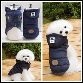 img 1 attached to Тепло и уют: Rdc Pet Hoodie Dog Coat - идеальная зимняя одежда для маленьких собак и средних кошек