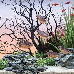 img 2 attached to 🐠 Enhance Your Aquarium with the CURRENT USA Black Manzanita Branch: 22-inch Tall, Weighted Base, and Stunning Molded Aquarium Décor