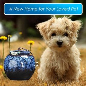 img 2 attached to 🐾 TOPRADE Pet Urns: Blue Cremains Casket for Cats and Dogs – Perfect Resting Place