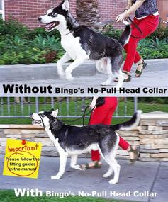 img 3 attached to 🐶 Dual-Purpose Gentle Lead for Dogs: Easy-to-Use No Pull Headcollar with Reflective Nose Harness and Safety Locking Buckle. Ideal for Humane Training!