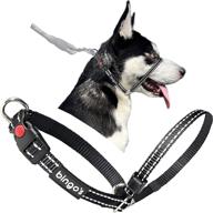 🐶 dual-purpose gentle lead for dogs: easy-to-use no pull headcollar with reflective nose harness and safety locking buckle. ideal for humane training! logo